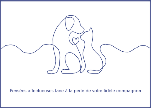 Cartes de condoléances (Pensées affectueuses) 30 pièces