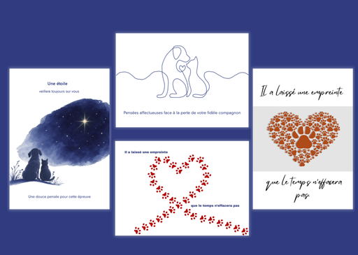 Cartes de condoléances (les 4 sortes) 50 pièces + 10 GRATUITES